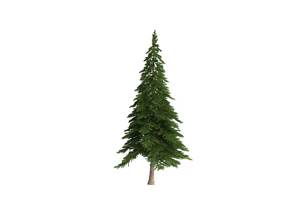 Tall Green Pine Tree Evergreen Plant Combination With Lush Foliage And Natural Trunk 3d model