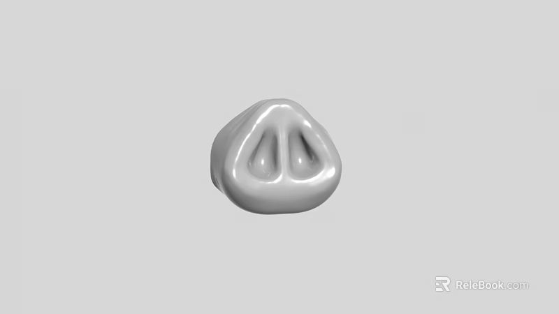 Cartoon Style Game And Movie Character Nose With Round Shape And Nostrils 3d model 