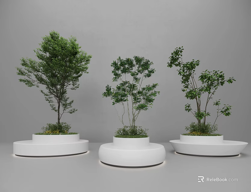 Three Bonsai Trees In White Circular Planters With Green Foliage On Gray Background 3d model 