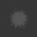 Clump Of Herbaceous Plant With Green Leaves And Tall Thin Brown Stems In Dark Background