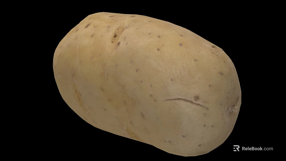 Fresh Organic Potato with Natural Brown Skin Smooth Texture and Small Spots 3d model 