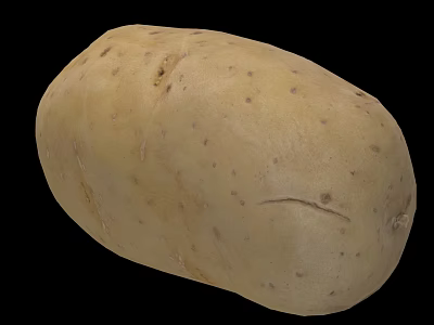Fresh Organic Potato with Natural Brown Skin Smooth Texture and Small Spots 3d model