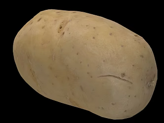 Modern potatoes 3d model
