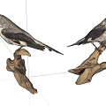 Modern bird standing on wood 3d model