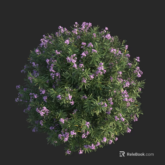 Spherical Shrub With Purple Small Flowers And Green Leaves In Garden 3d model 