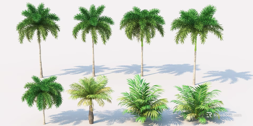 Various Types Of Palm Trees With Tall Trunks And Green Fronds In Different Sizes 3d model 
