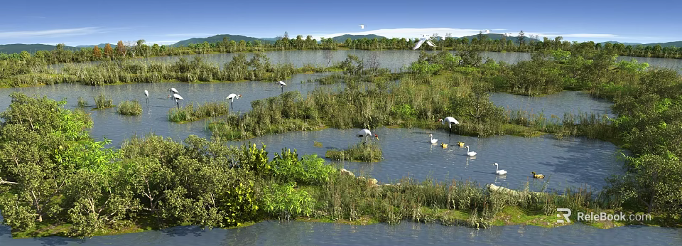 Wetland Park Landscape With Natural Water Area Green Vegetation And White Birds 3d model 