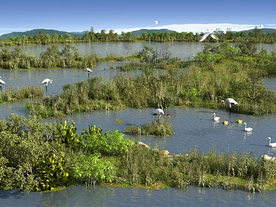 Wetland Park Landscape With Natural Water Area Green Vegetation And White Birds 3d model