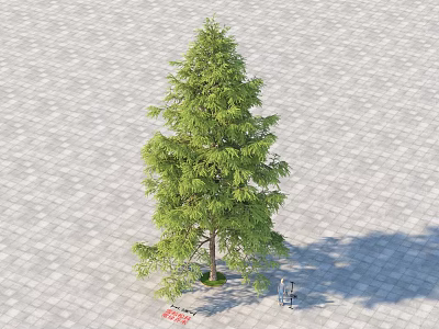 Lush Green Tree Standing On Paved Ground With Natural Shadow 3d model