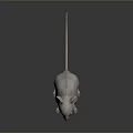 Light Brown Mouse With Large Ears White Eyes And Long Tail Standing On Black Background