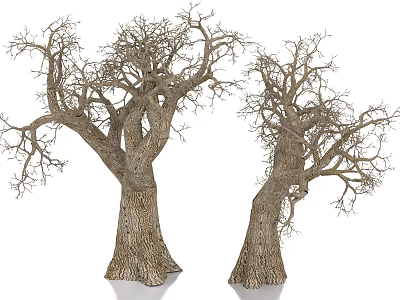Leafless Trees With Thick Trunks And Twisted Branches In Isolated View 3d model