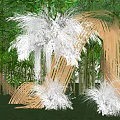 Bamboo Pergola with Curved Design Decorated with White Plants Surrounded by Green Bamboo and Grass