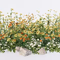Vibrant Garden Flowers Featuring Yellow Orange White Blooms and Decorative Rocks