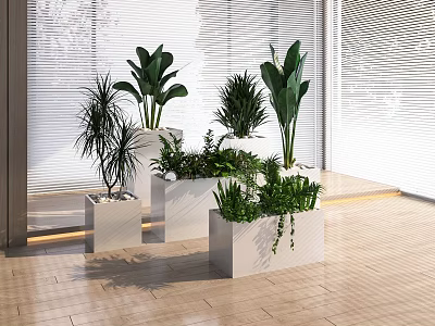 Indoor Green Plants In White Planters Bright Room With Wooden Floor And Window Blinds 3d model
