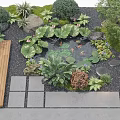 Courtyard Garden Design With Koi Fish Pond Lotus Leaves And Wooden Deck
