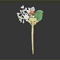 Elegant Floral Jewelry Design With Pink White Flowers And Green Leaves On Golden Stem
