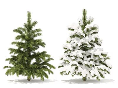 Arbor Featuring Green and Snow Covered Pine Trees in Garden 3d model