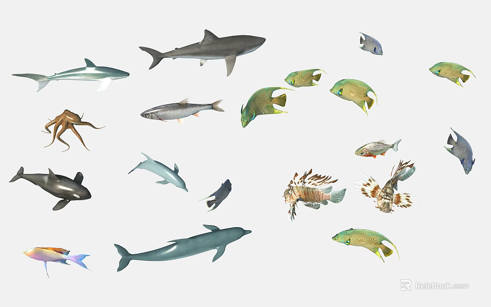 Various Aquatic Animals Including Sharks Dolphins Fish Octopus And Lionfish 3d model 