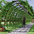 Garden Pergola With Arch Structure Covered In Green Vines Stone Path And Fresh Vegetables