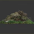 Decorative Miniature Garden Setup With Soil Mound Twigs Green Grass And Moss