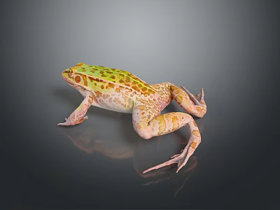 Vibrant Reptile With Green Orange Spots And Textured Body On Reflective Gray Surface 3d model