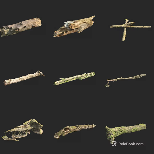 Natural Tree Trunks And Branches With Moss Holes In Various Shapes 3d model