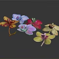 Various Colorful Orchids with Different Shapes on Dark Background Display Beautifully