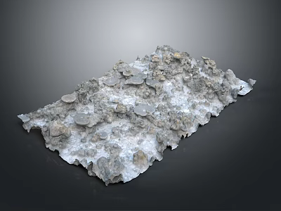 Natural Wood Stone Material Slab With Irregular Surface And Rough Texture For Building Projects 3d model