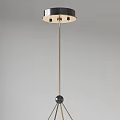 Modern Elegant Circular Glass Chandelier With Brass Metal Frame And Decorative Design Details