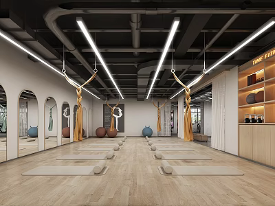Spacious Yoga Studio with Yoga Mats Mirrors Yoga Balls and Hanging Equipment on Wooden Floor 3d model