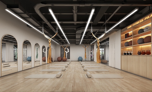 Modern Yoga Room 3d model