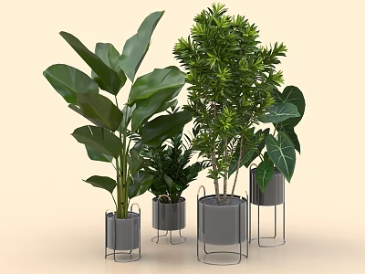 Various Green Foliage Potted Plants in Metal Stand Planters for Indoor Decor 3d model