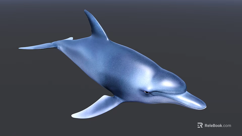 Realistic Blue Dolphin Aquatic Animal With Sleek Body And Dorsal Fin 3d model 