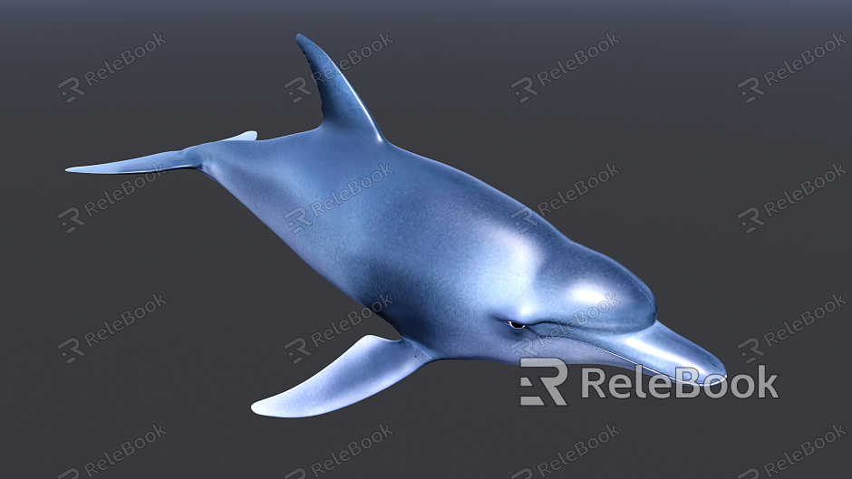 Modern Dolphins model