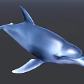 Realistic Blue Dolphin Aquatic Animal With Sleek Body And Dorsal Fin