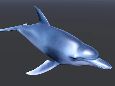 Realistic Blue Dolphin Aquatic Animal With Sleek Body And Dorsal Fin 3d model