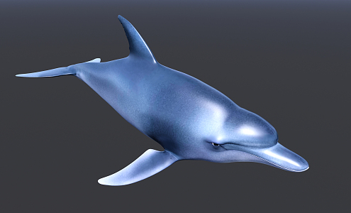 Modern Dolphins 3d model