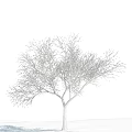 Snow Covered Arbor Tree With Bare Branches Against Blue Sky And White Clouds 3d model