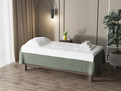 Relaxing Massage Bed Featuring Green Bedspread White Sheets Bedside Table with Green Plants and Towels 3d model