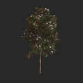Graceful Tree with Green Leaves and White Flowers on Slender Trunk Against Black Background