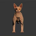 3D Rendering of Standing Hairless Cat With Light Orange Color and Gray Background