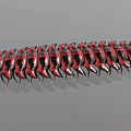 Red And Black Segmented Millipede With Shiny Exoskeleton And Many Legs 3d model