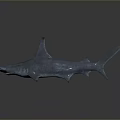 Realistic Hammerhead Shark 3D Model Showcasing Smooth Gray Surface And Lifelike Details