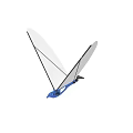 Toy Glider Model With White Wings Black Frame And Blue Body