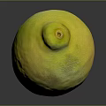 Fresh Ripe Yellow Lemon with Smooth Vibrant Skin and Reflection on Dark Background