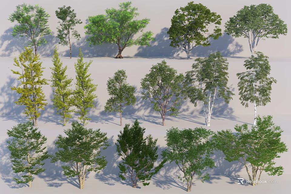 Diverse Collection of Green Leafy Trees with Varied Shapes and Sizes 3d model 
