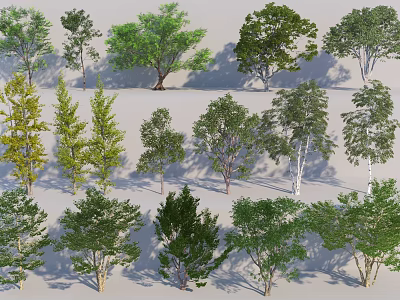 Diverse Collection of Green Leafy Trees with Varied Shapes and Sizes 3d model