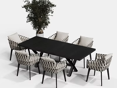 Modern Black Outdoor Table With Woven Dining Chairs And Large Potted Plant 3d model