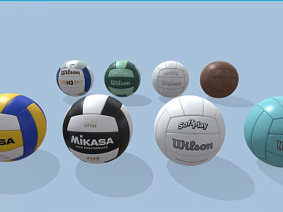 Sports Equipment Various Brands Volleyballs in Different Colors and Styles 3d model