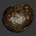 Detailed Organ Structure and Hair Like Surface Texture of Fresh Mushroom on Gray Background
